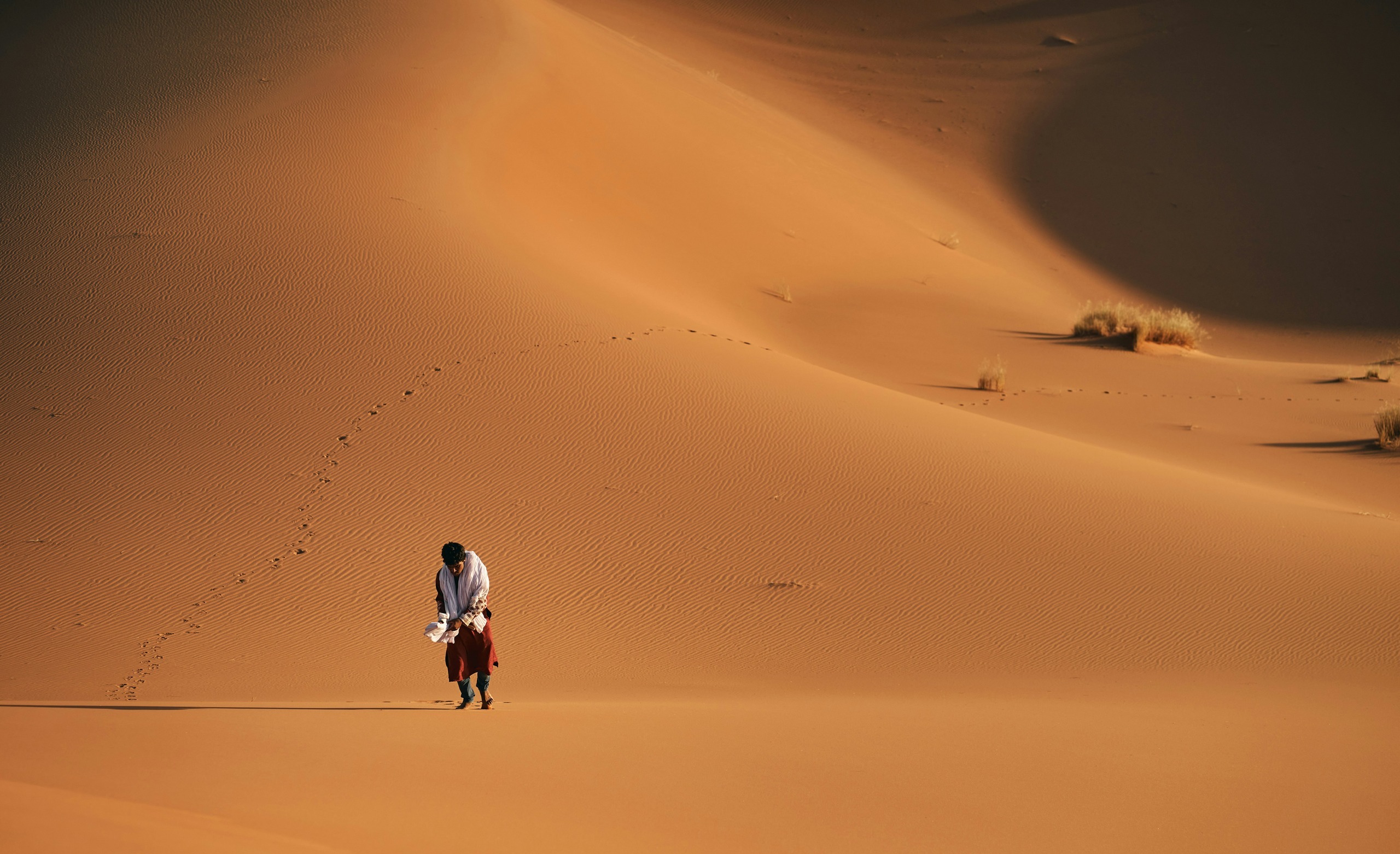 Surviving In The Dessert