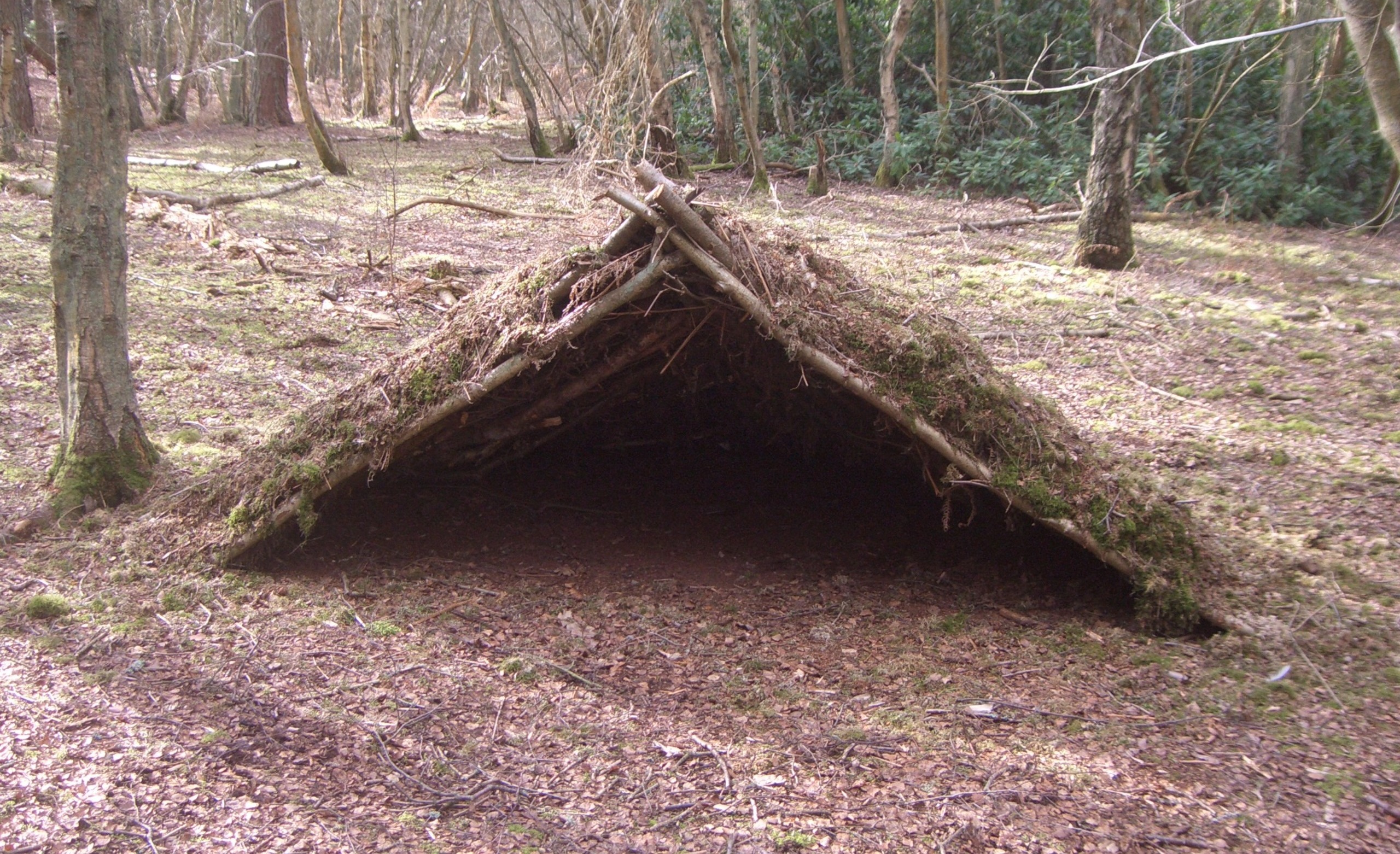 How To Build A Survival Shelter