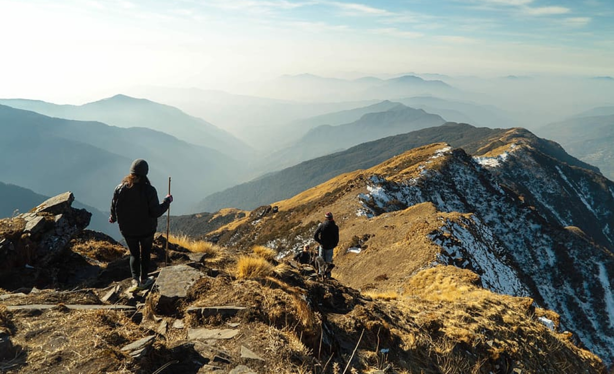 Surviving In The Mountains