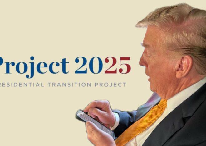 How To Survive Project 2025