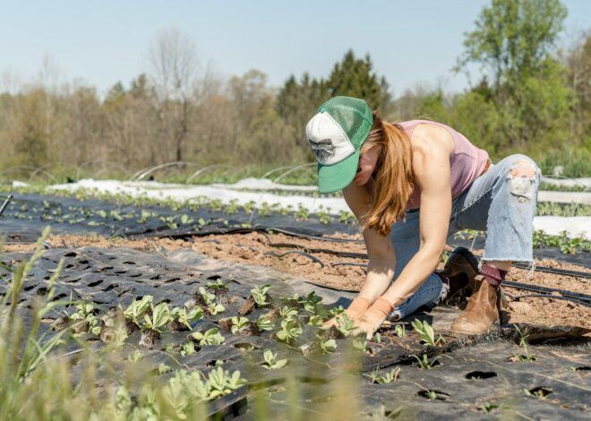 How To Grow A Garden For Beginners