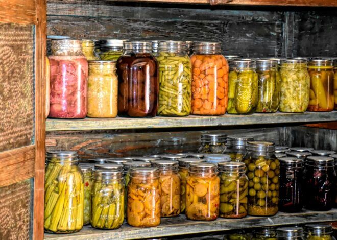 DIY Underground Root Cellar