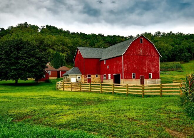 How To Build Your Own Barn