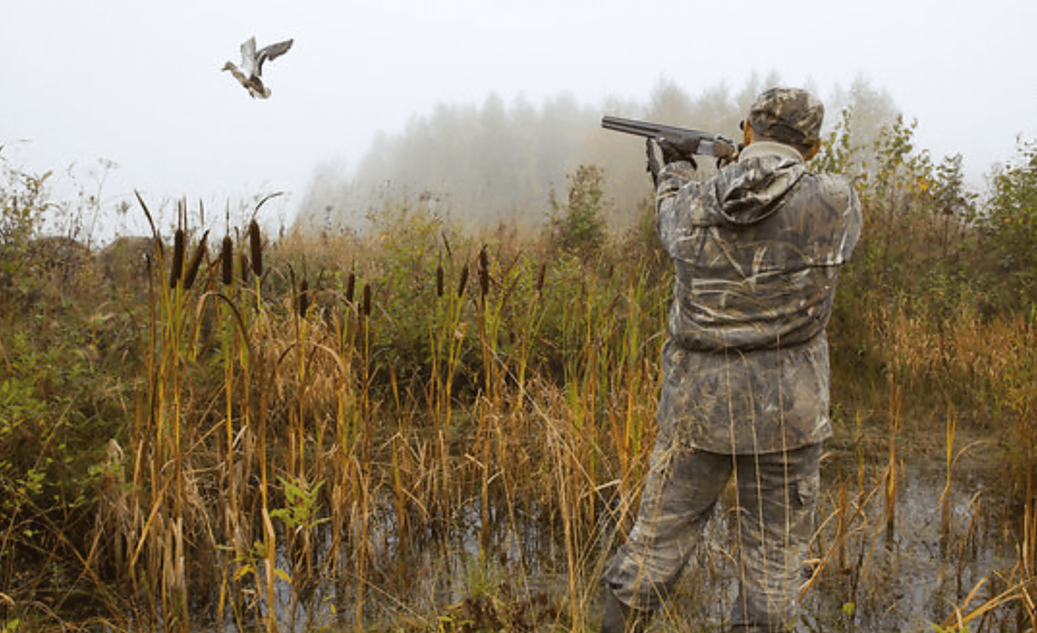Duck Hunting For Beginners - The Survival Way