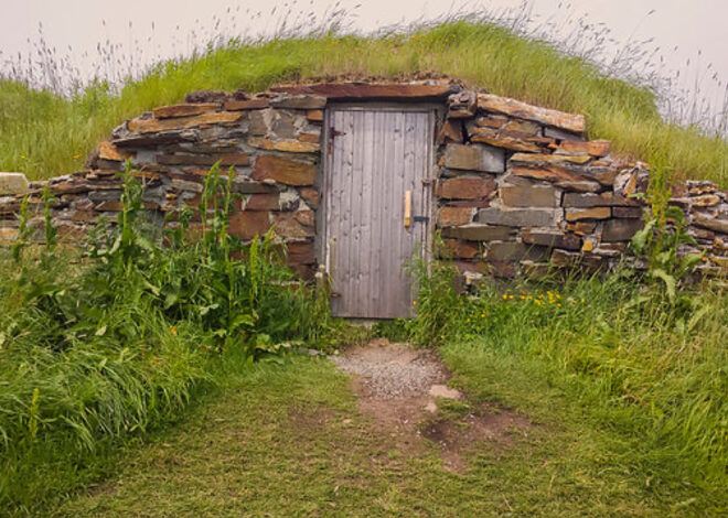 How To Build A Florida Root Cellar