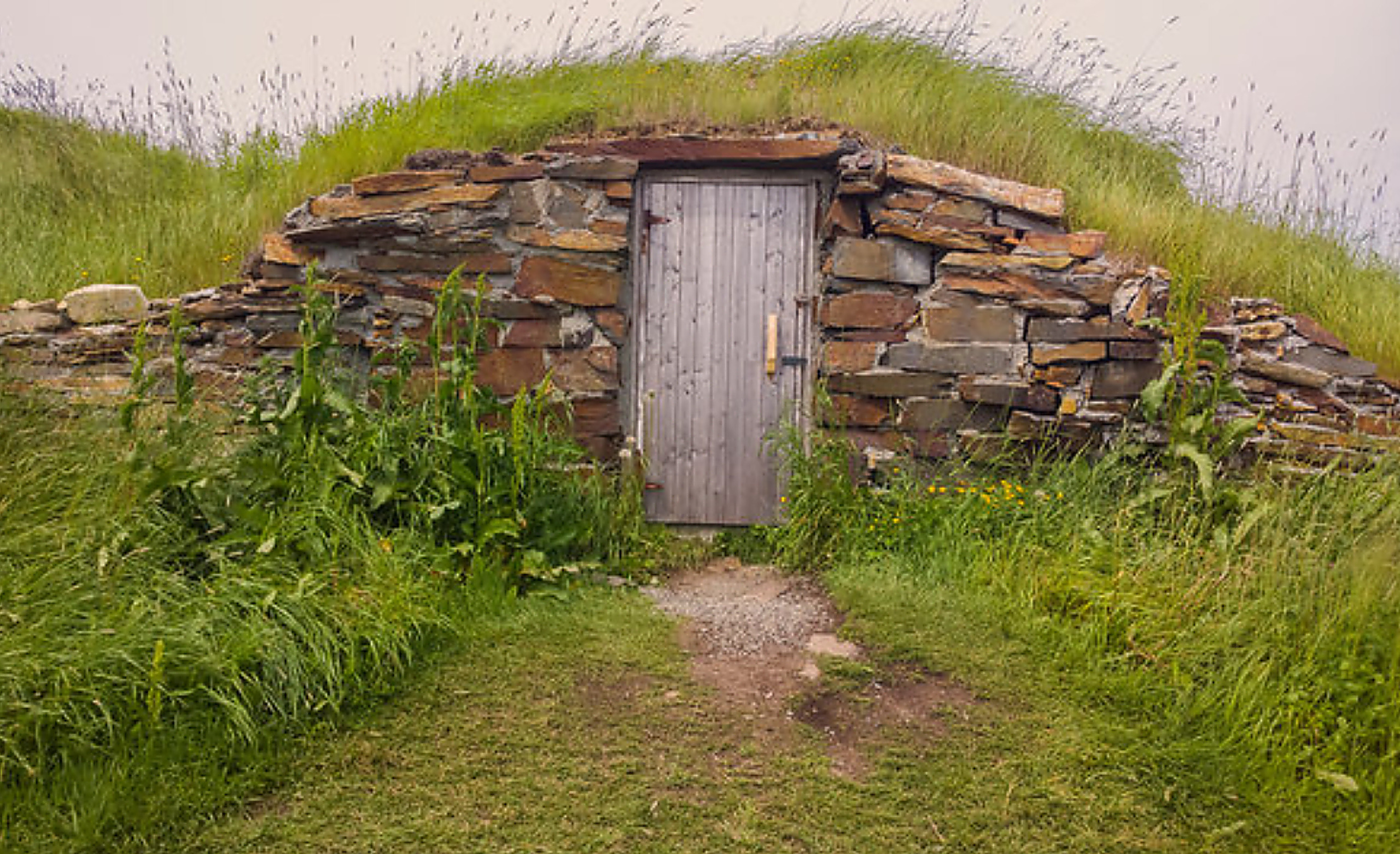 How To Build A Florida Root Cellar