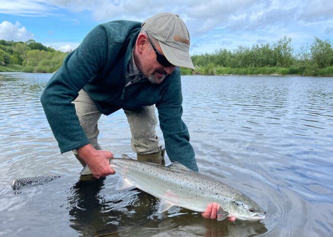 How To Catch A Salmon