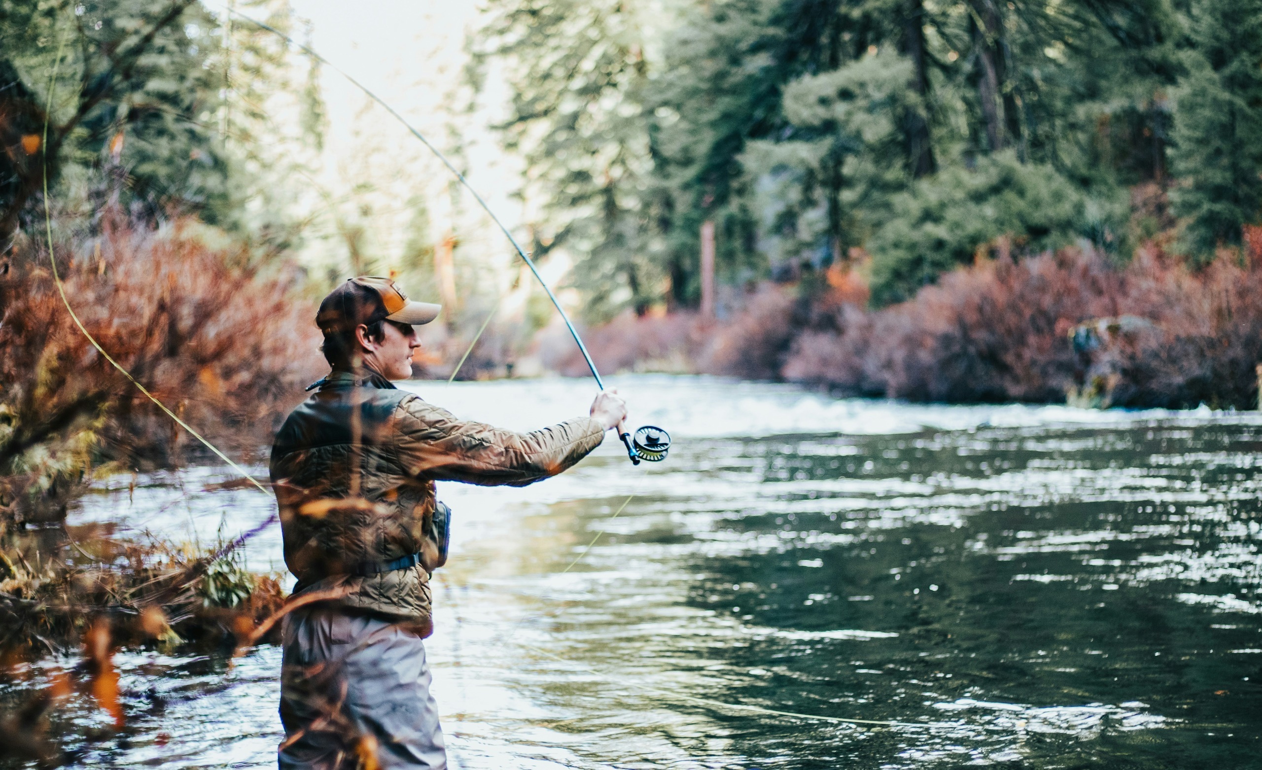 How To Fly Fish For Beginners