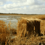 How To Make A Duck Blind