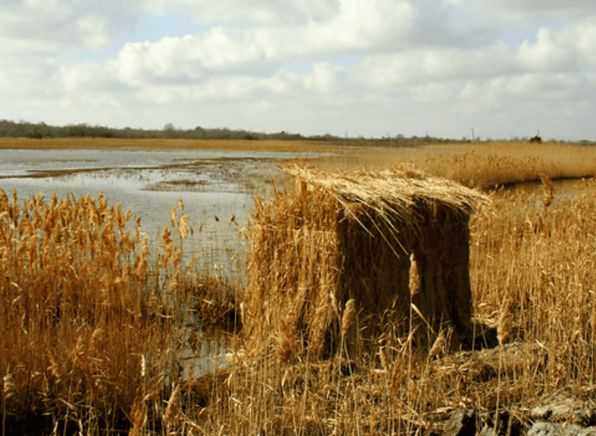 How To Make A Duck Blind