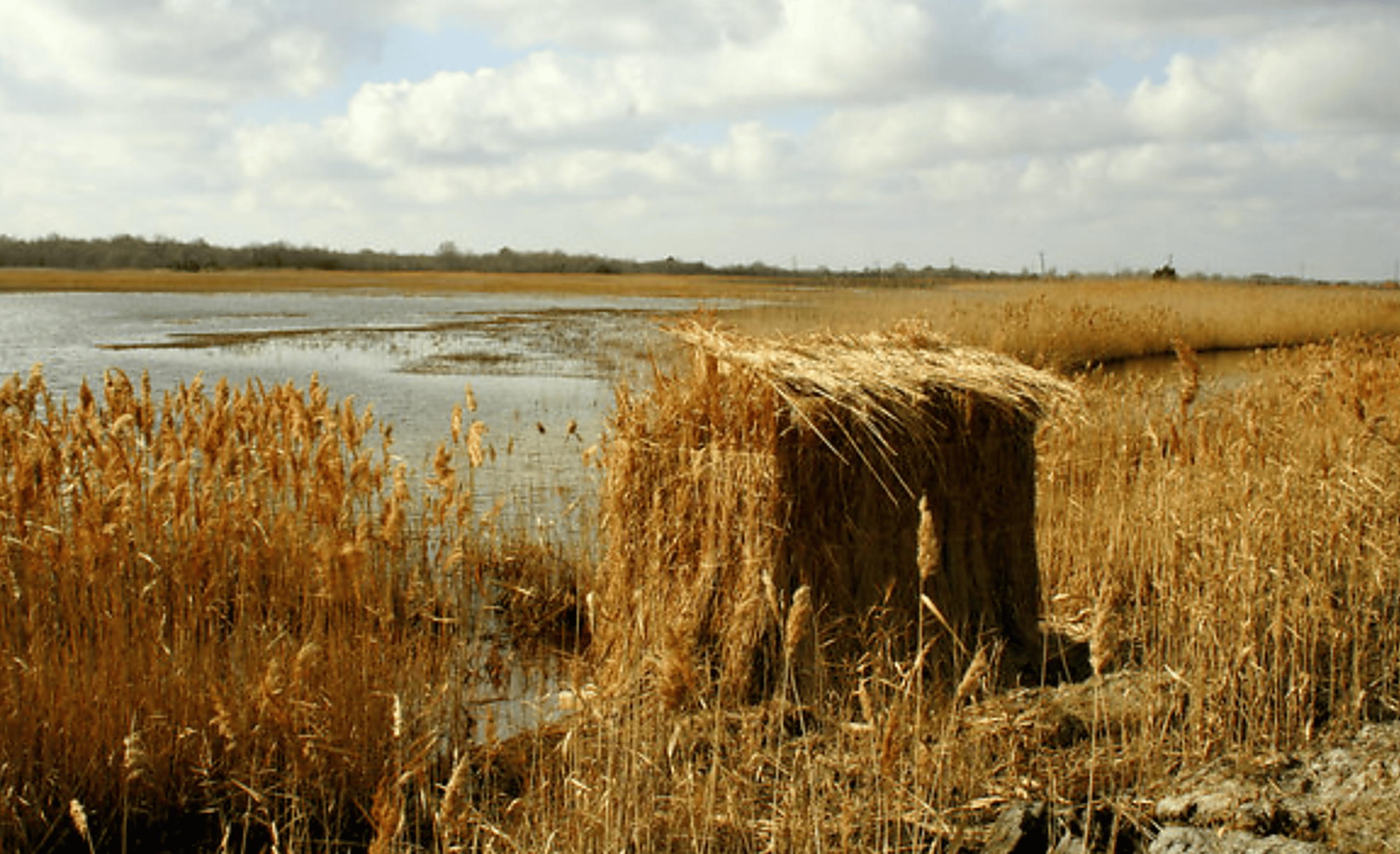 How To Make A Duck Blind