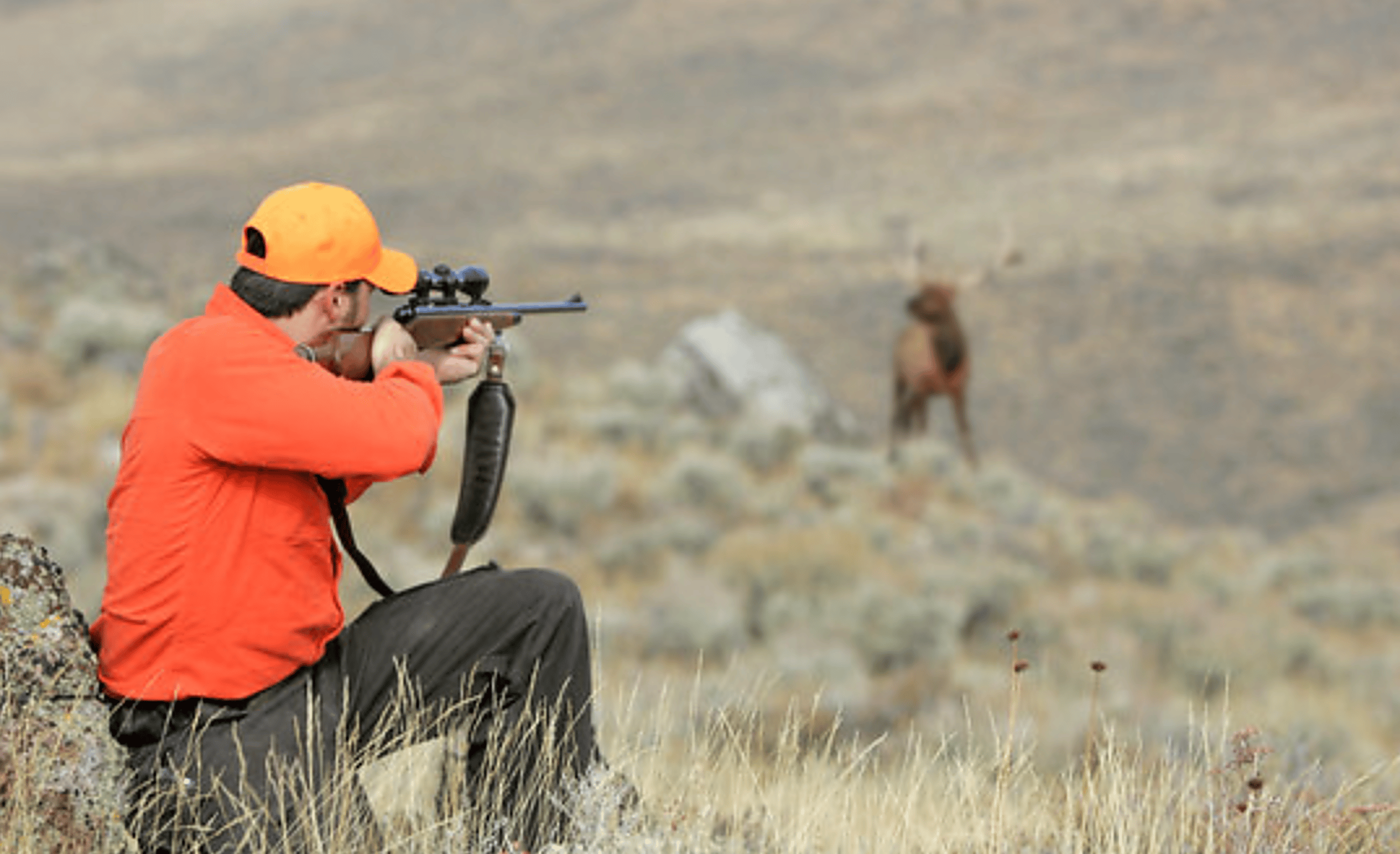 Best Big Game Hunting Rifles