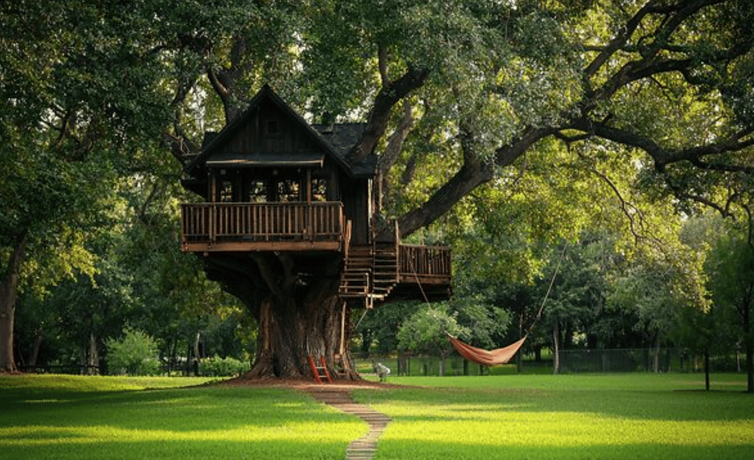 Build Your Own Tree House