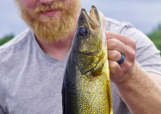 How To Catch A Walleye