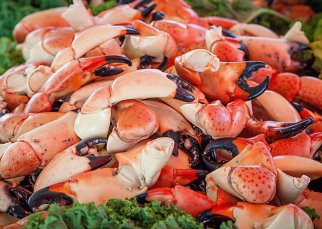 How To Catch Florida Stone Crabs