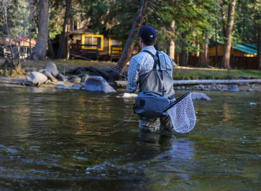 How To Catch Trout With Flies