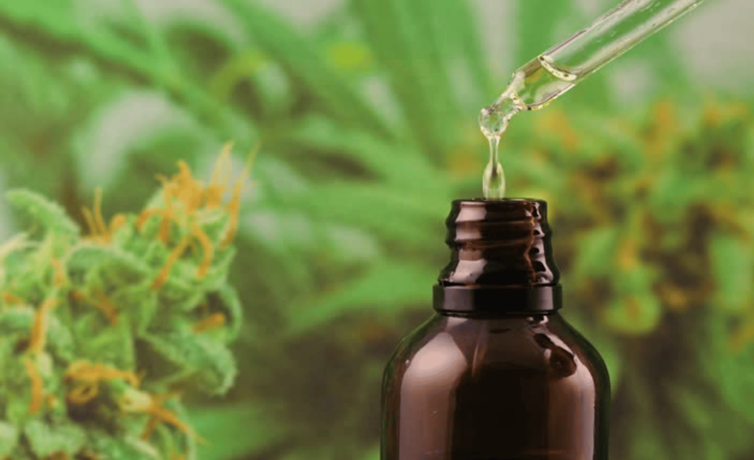 Medicinal Uses For CBD Oil