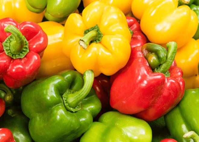 How To Grow Bell Pepper Plants