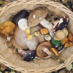 How To Cook Foraged Foods