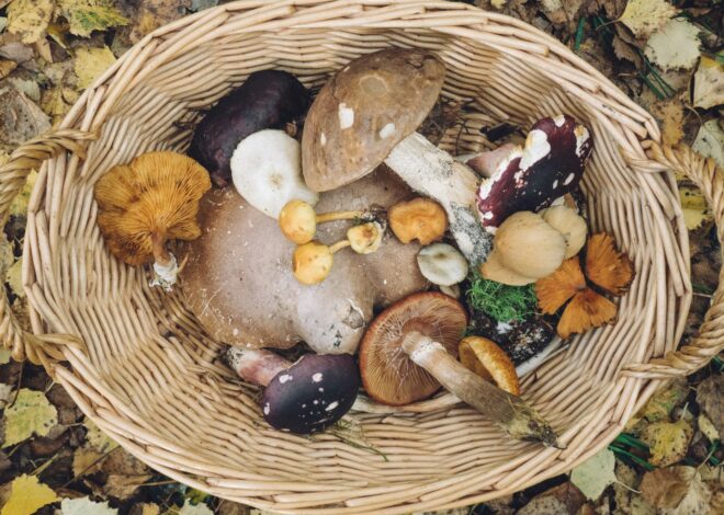 How To Cook Foraged Foods