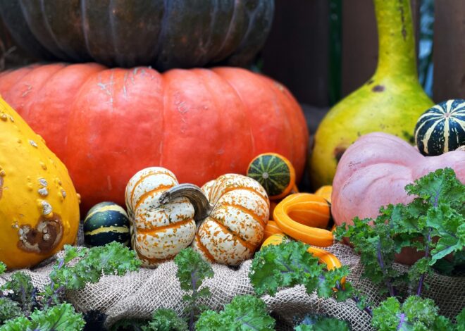 How To Grow Squash