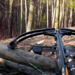 Deer Hunting With A Crossbow