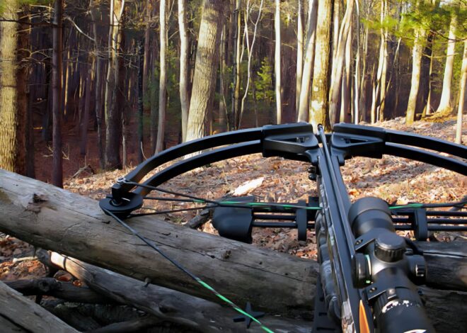Deer Hunting With A Crossbow