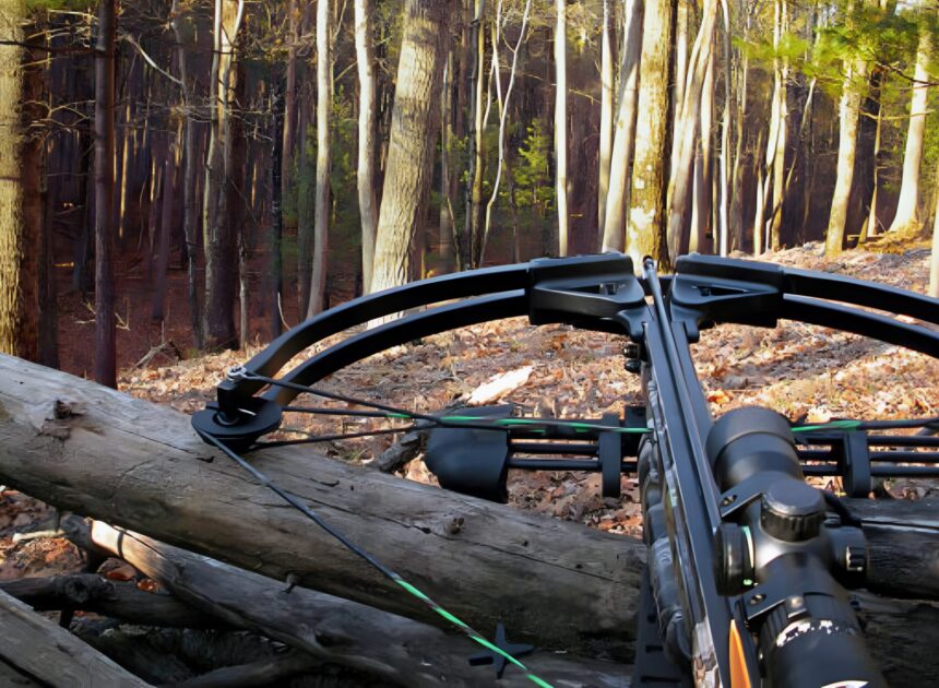 Deer Hunting With A Crossbow