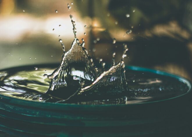 Finding Water Sources For Survival