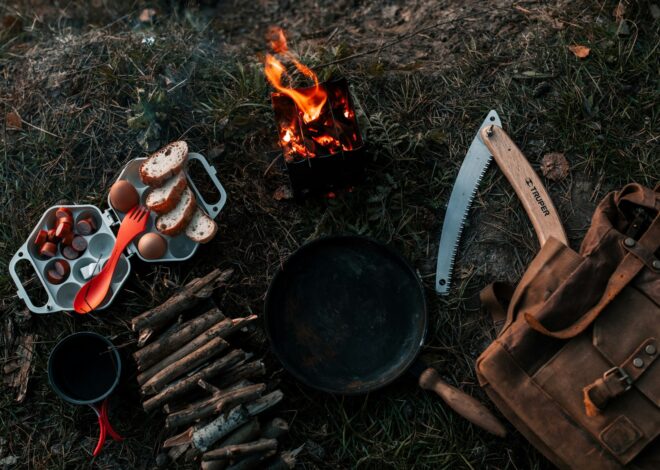 How To Find Food For Survival