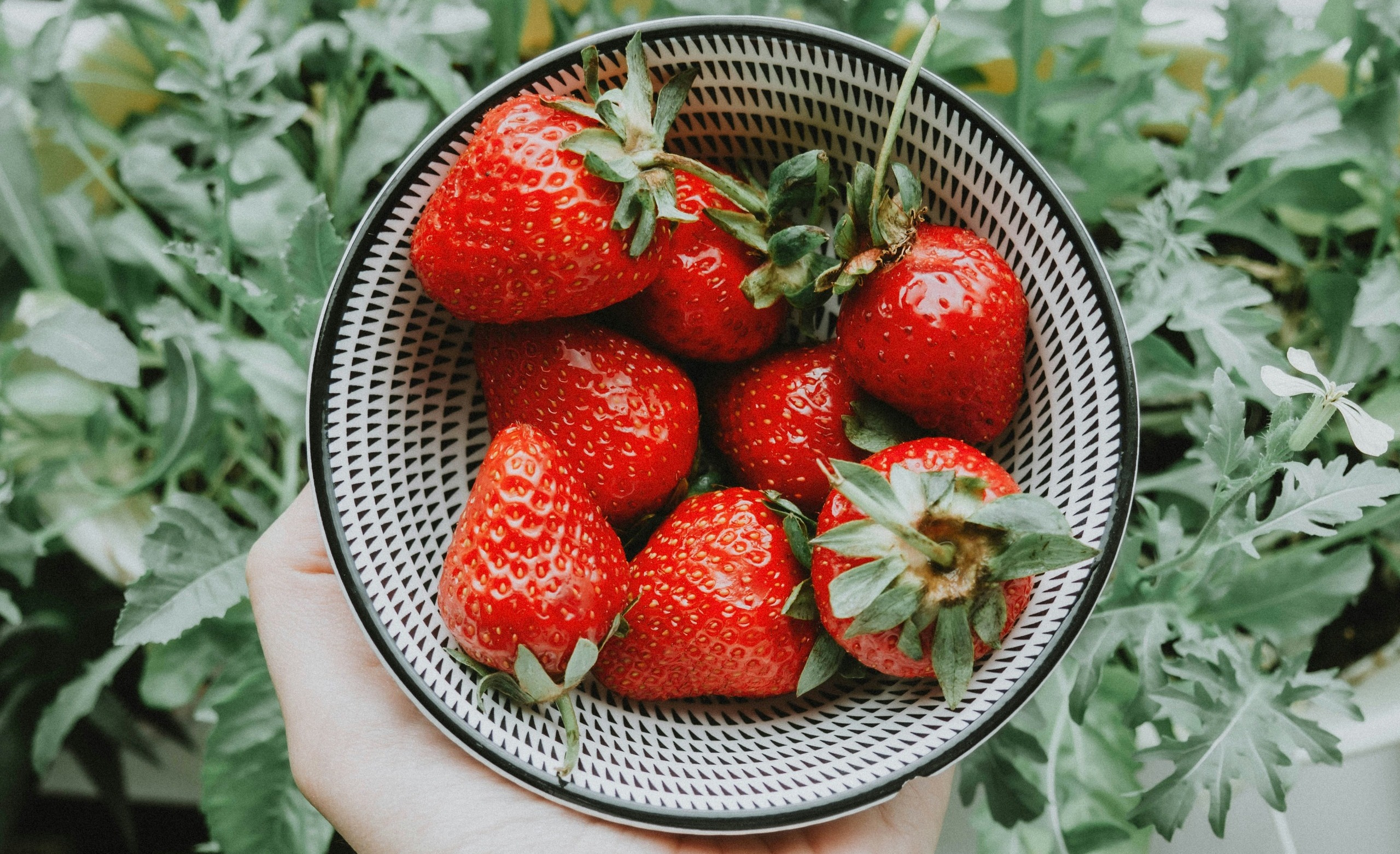 How To Grow Strawberries