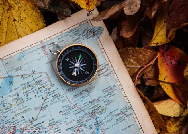 Learning Navigation For Survival