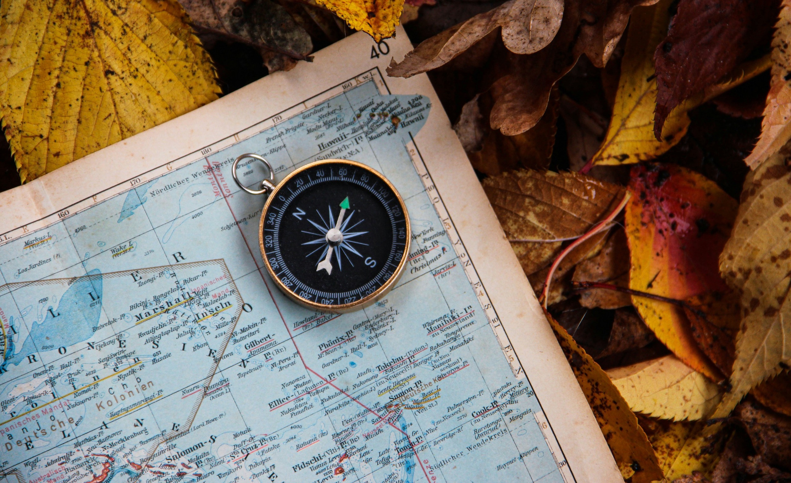 Learning Navigation For Survival