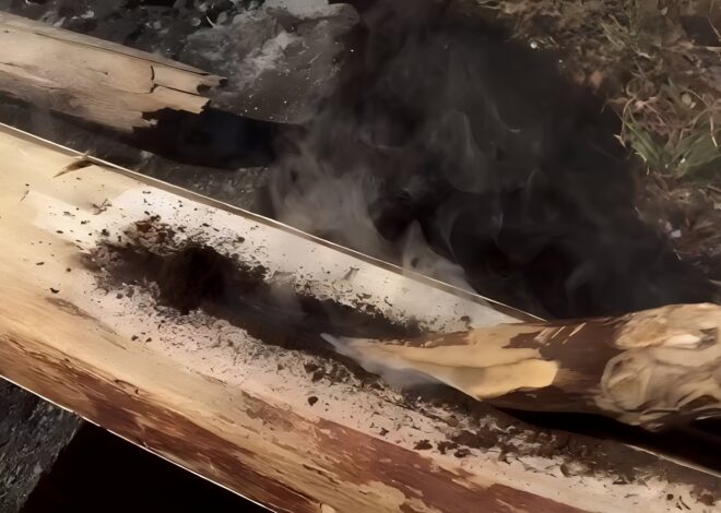 Starting A Fire With A Fire Plough