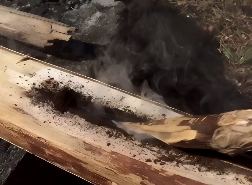 Starting A Fire With A Fire Plough